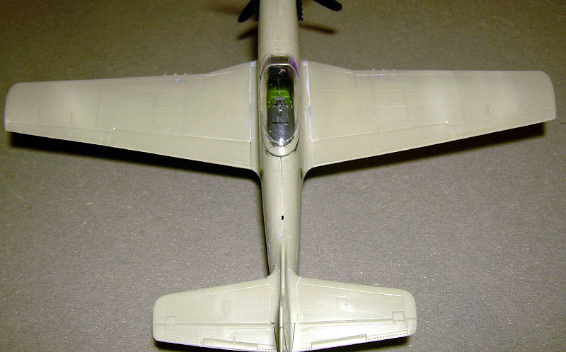 P-51D Hawk