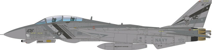 F-14D AMK